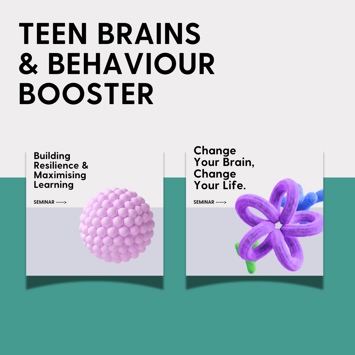 Teen Brains & Behaviour Bundle BOOSTER