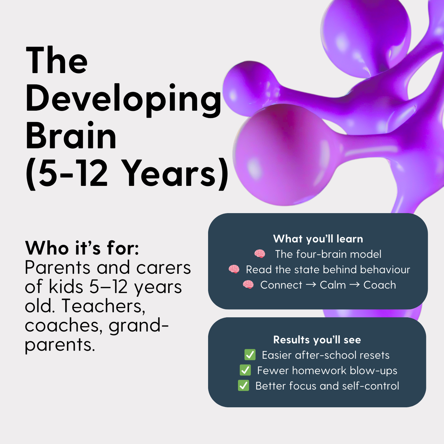 The Developing Brain (5-12 years old)