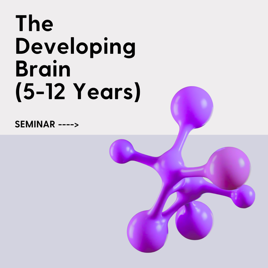 The Developing Brain (5-12 years old)