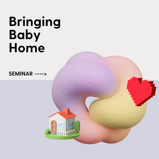 Bringing Baby Home