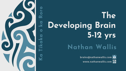 The Developing Brain (5-12 years old)